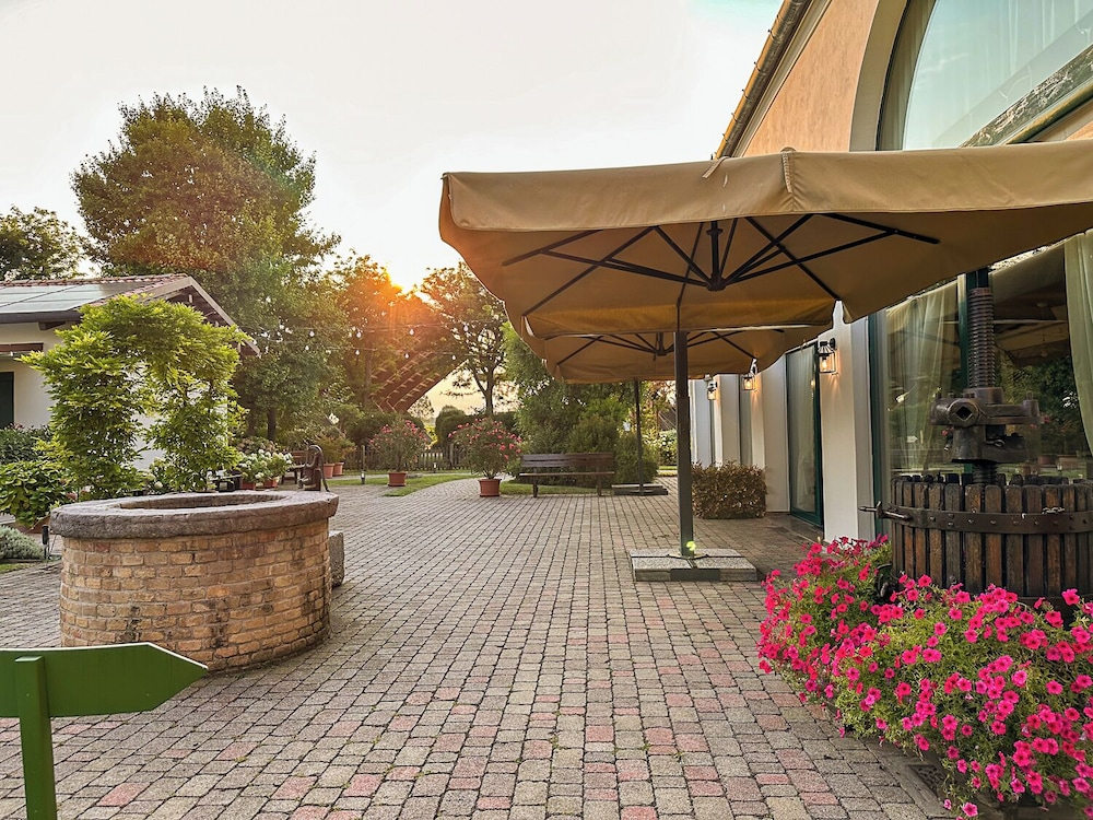 Le Vigne Morosina