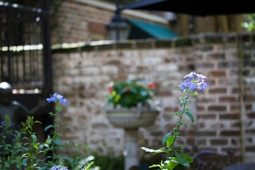 Eliza Thompson House, Historic Inns of Savannah Collection