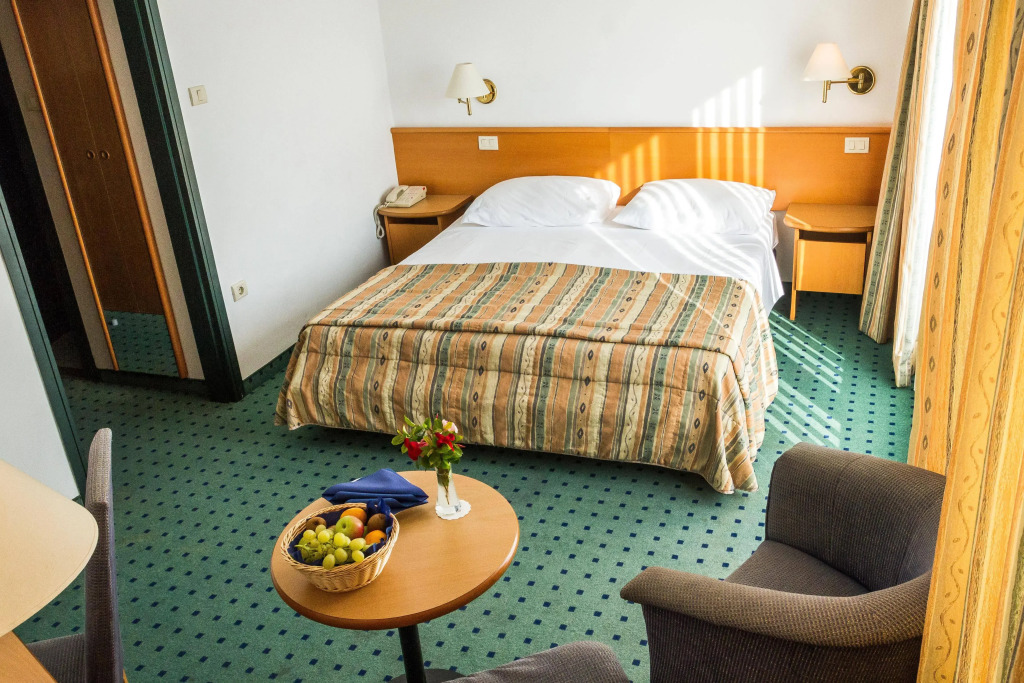 Hotel Vile Park