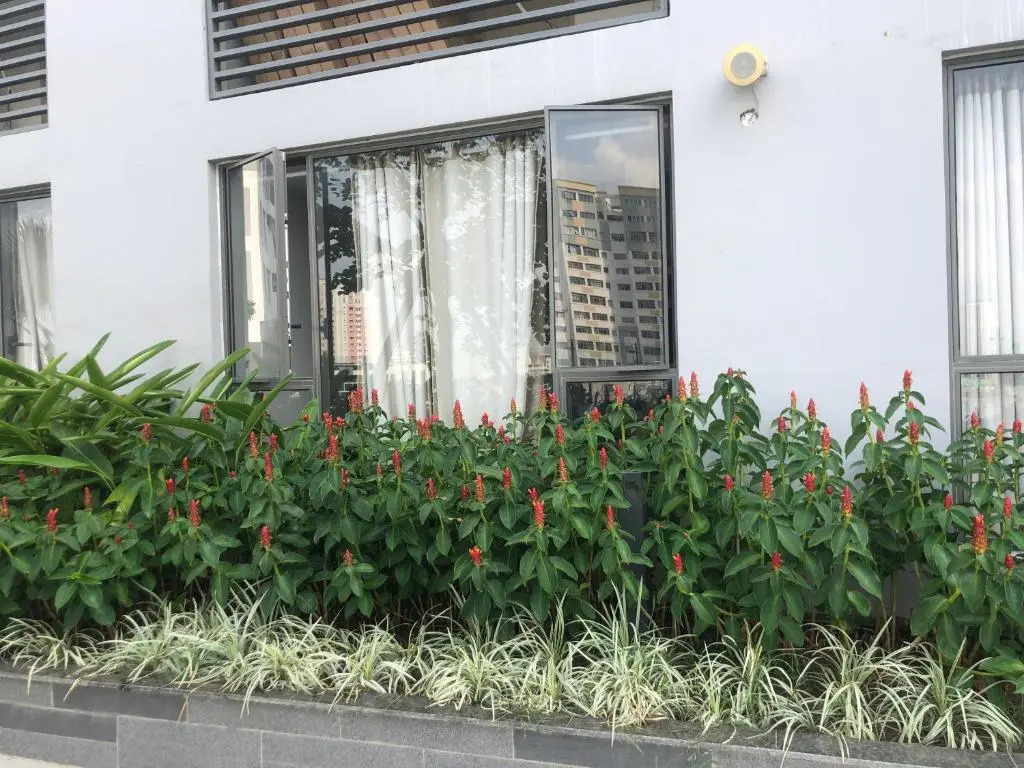 Rose Luxury Apartment Near Center