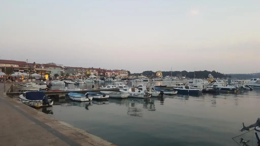 Apartmani Koin