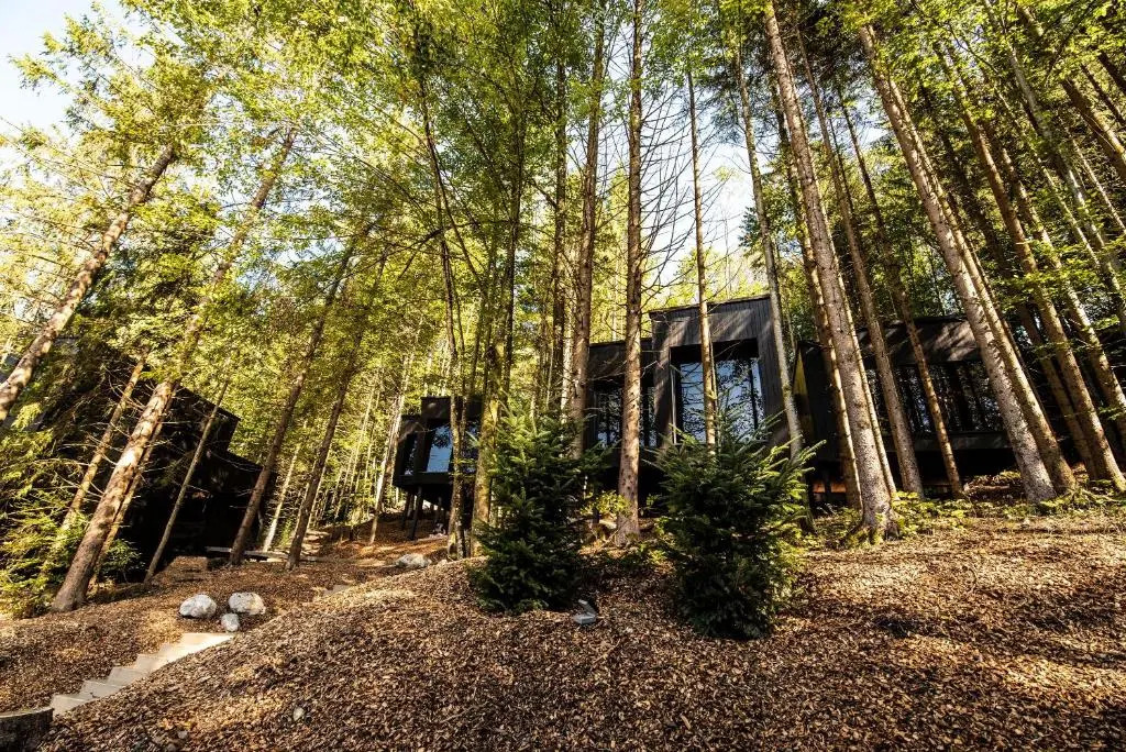Hotel Fischerwirt Natur WaldSPA