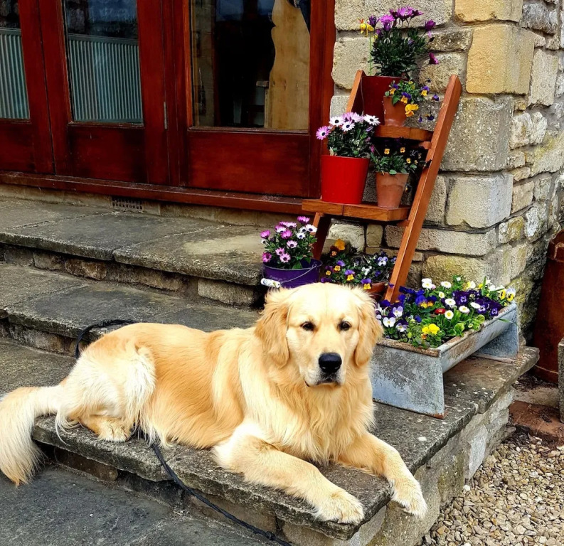 The Old Stables Bed & Breakfast