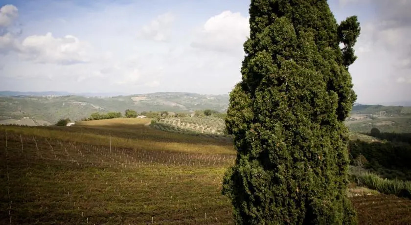 La Casa Di Teresa B&B