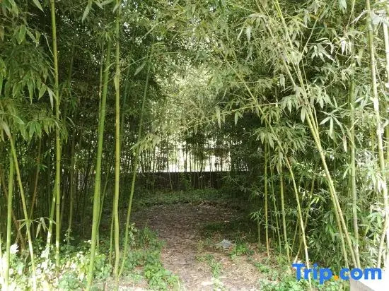 Heming Homestay (Tai'an Branch)