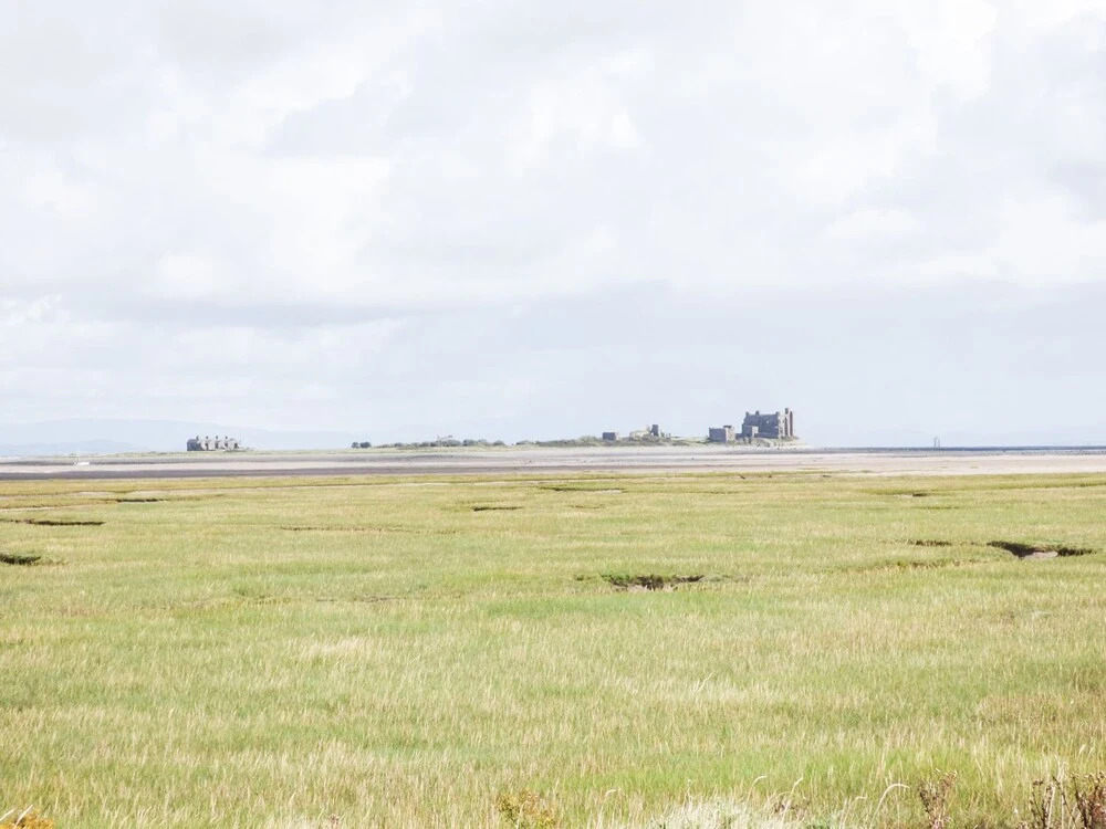The Hide