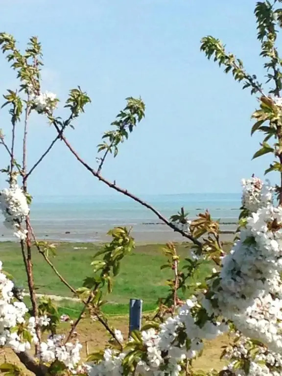 Maison de 3 chambres avec wifi a Le Vivier sur Mer