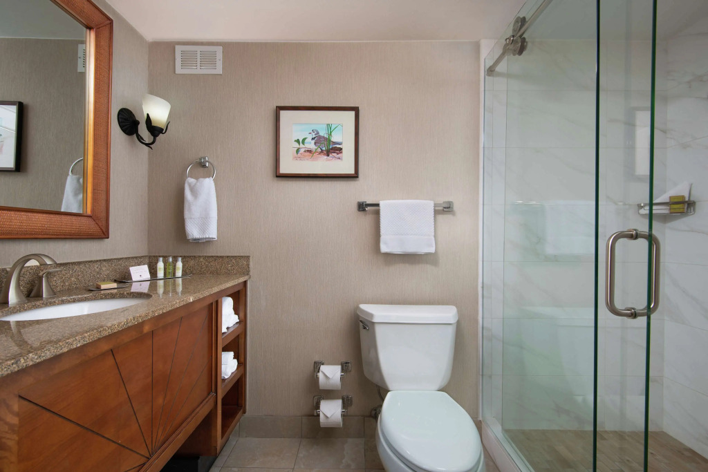 DoubleTree Beach Resort by Hilton Tampa Bay - North Redington Beach