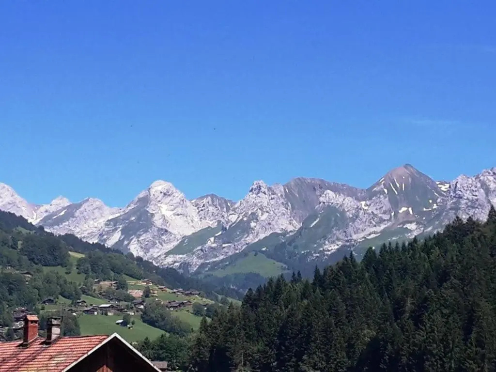 Appartement Le Grand-Bornand, 3 pièces, 6 personnes - FR-1-241-55