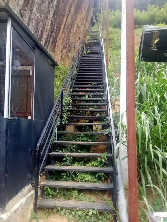 Ella Deck Resort
