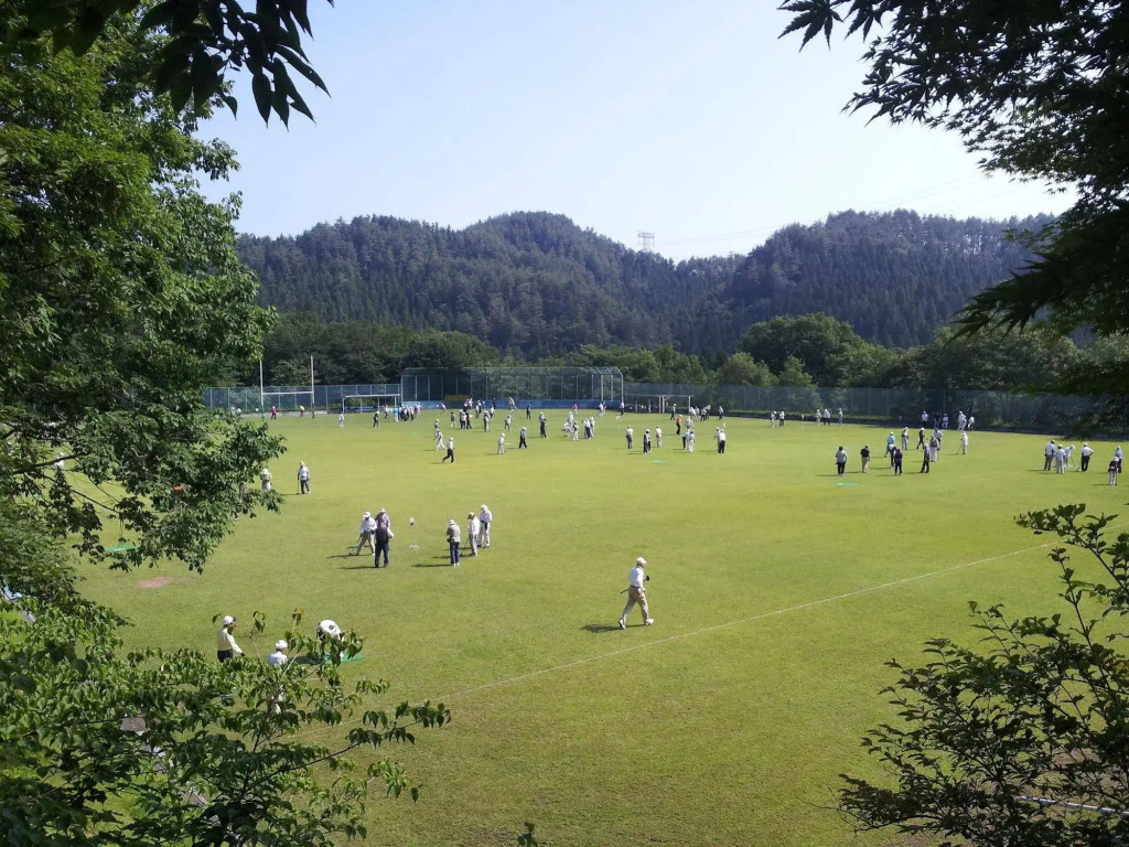 Conifer Iwabitsu