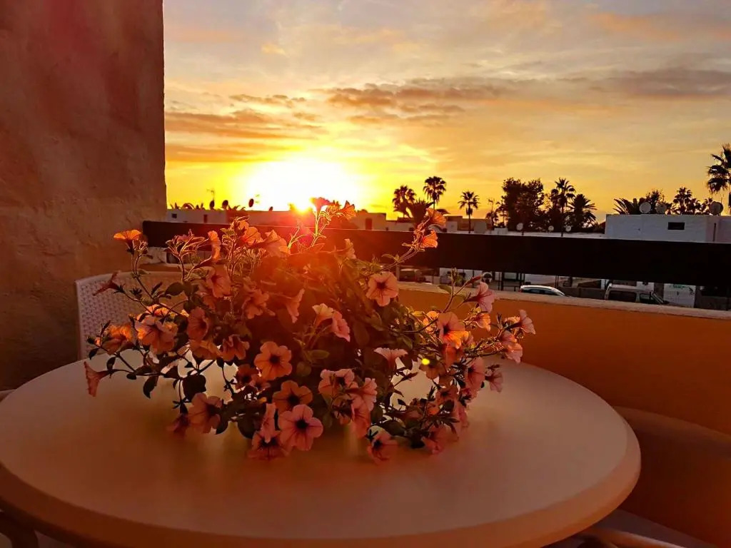 Lovely Apartment close to the Beach Apartamerica LA140