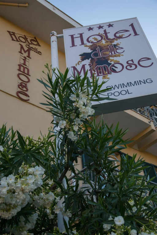 Hotel Delle Mimose
