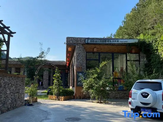 Wuwangshan Guigu Boutique B&B (Badaling Great Wall Branch)