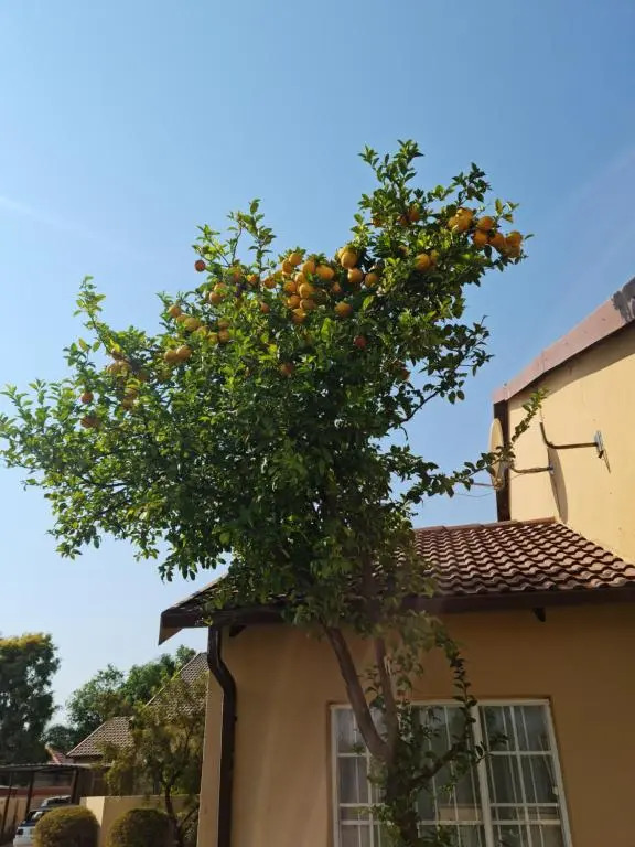Justin's Place Lounge. An Exceptional Home with no Load Shedding, by The Grove Mall and Wilgers Hospital.