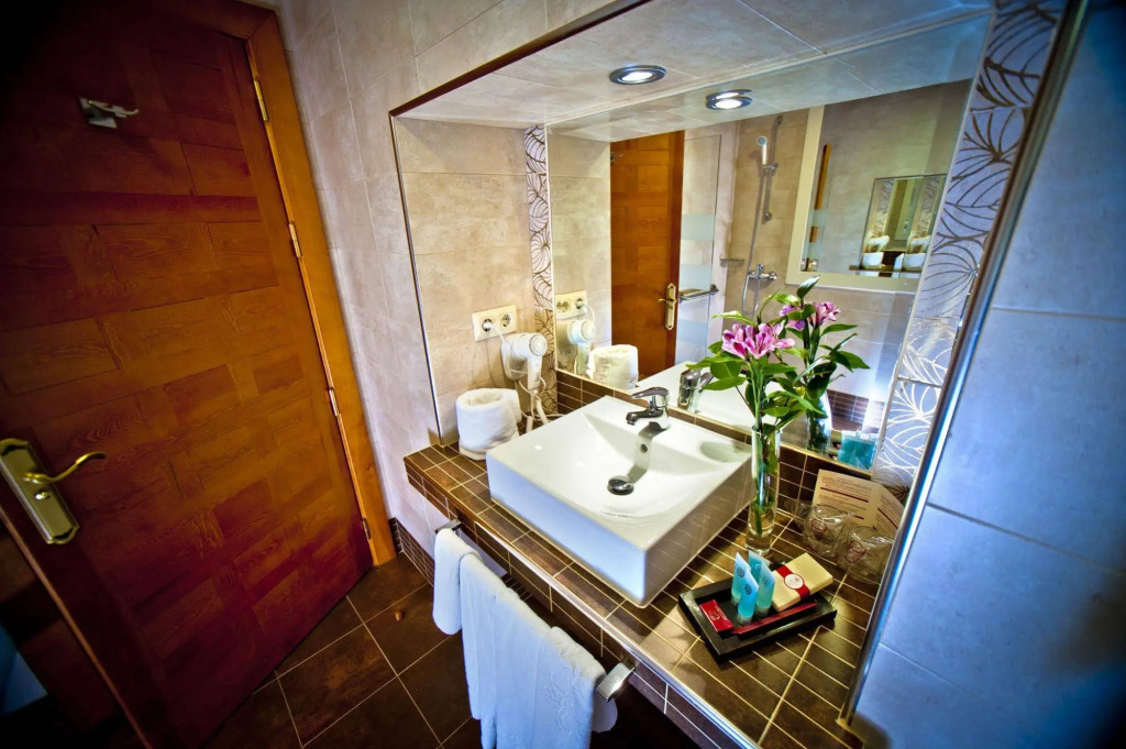 Hotel Condes de Castilla