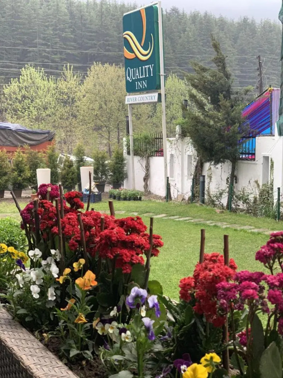 Renest River Country Resort Manali