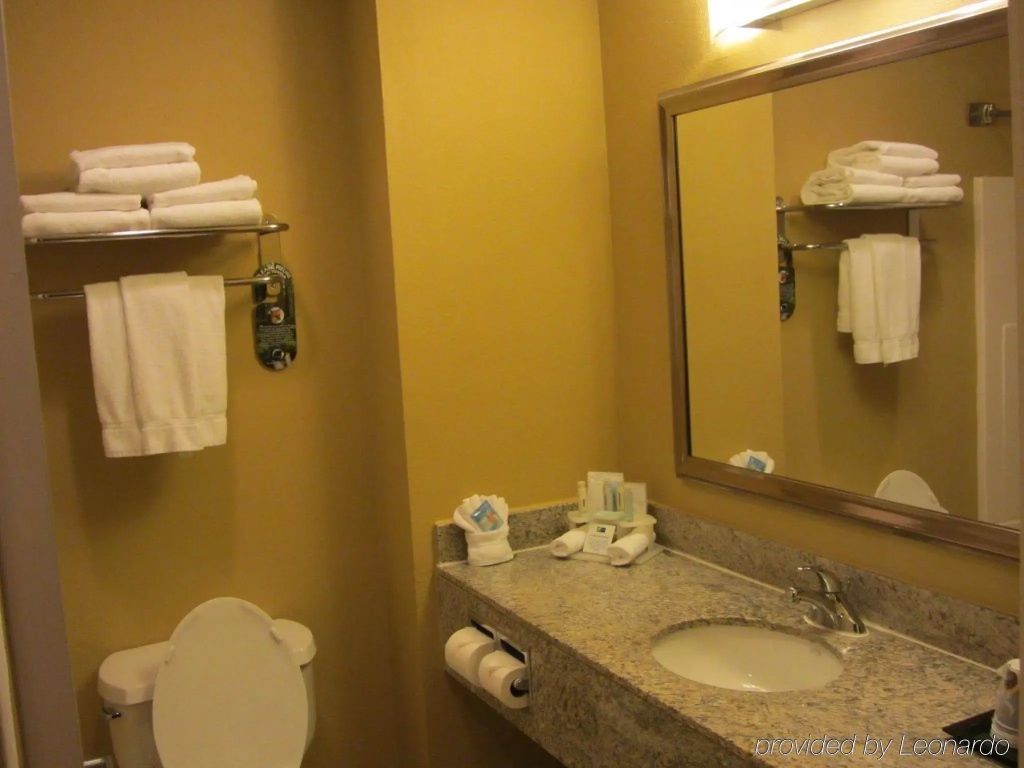 Best Western Premier Houston Downtown/Convention Center Hotel