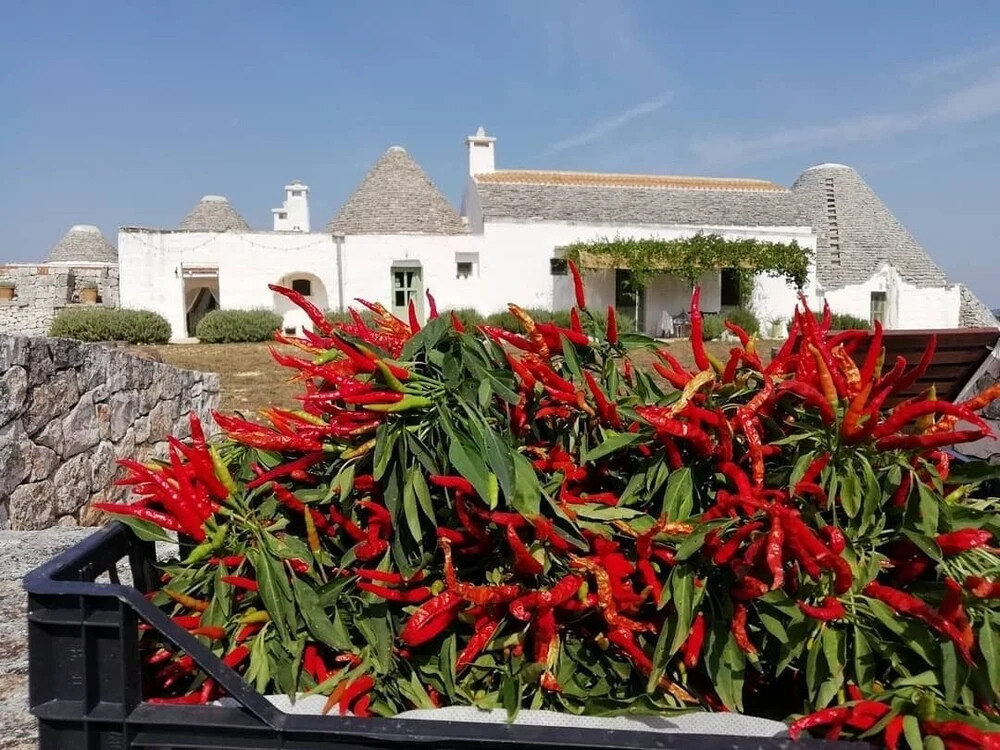 La Casa degli Uccellini Bio Agriturismo