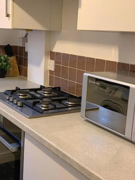 Modern Deluxe Zone 2 Camberwell London Apartment