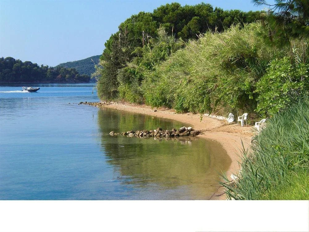Vaya