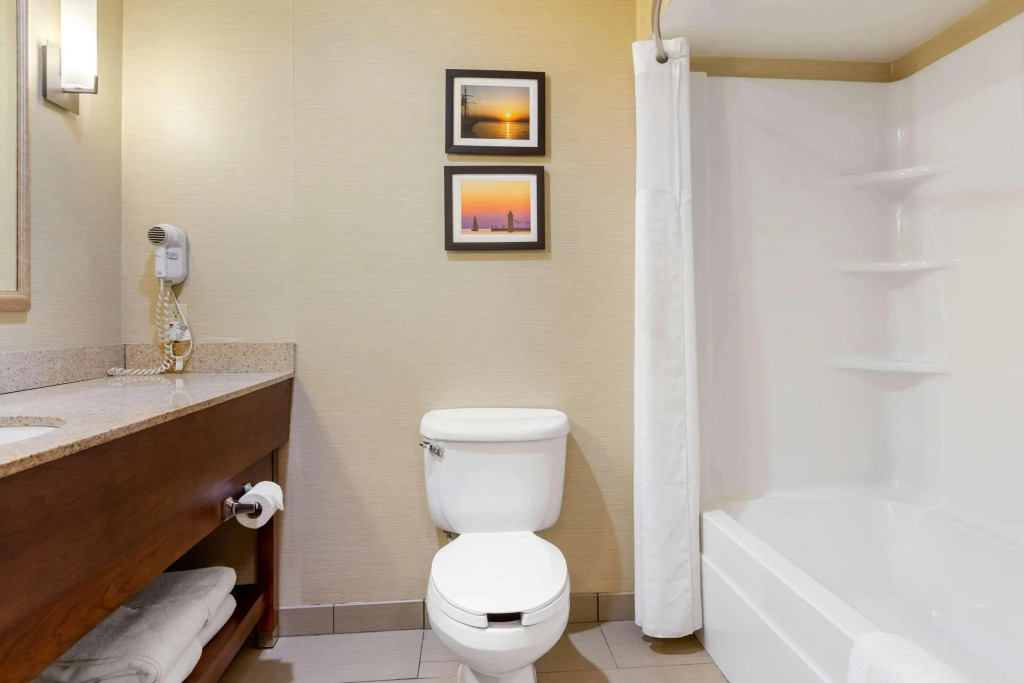 Comfort Suites South Haven near I-96
