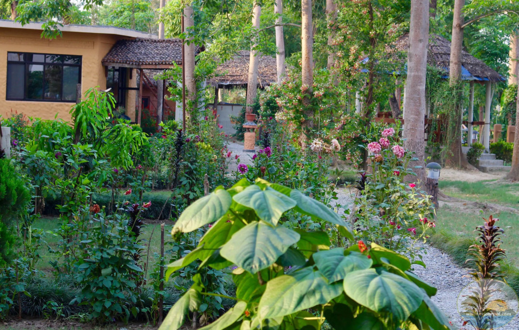 River View Jungle Camp