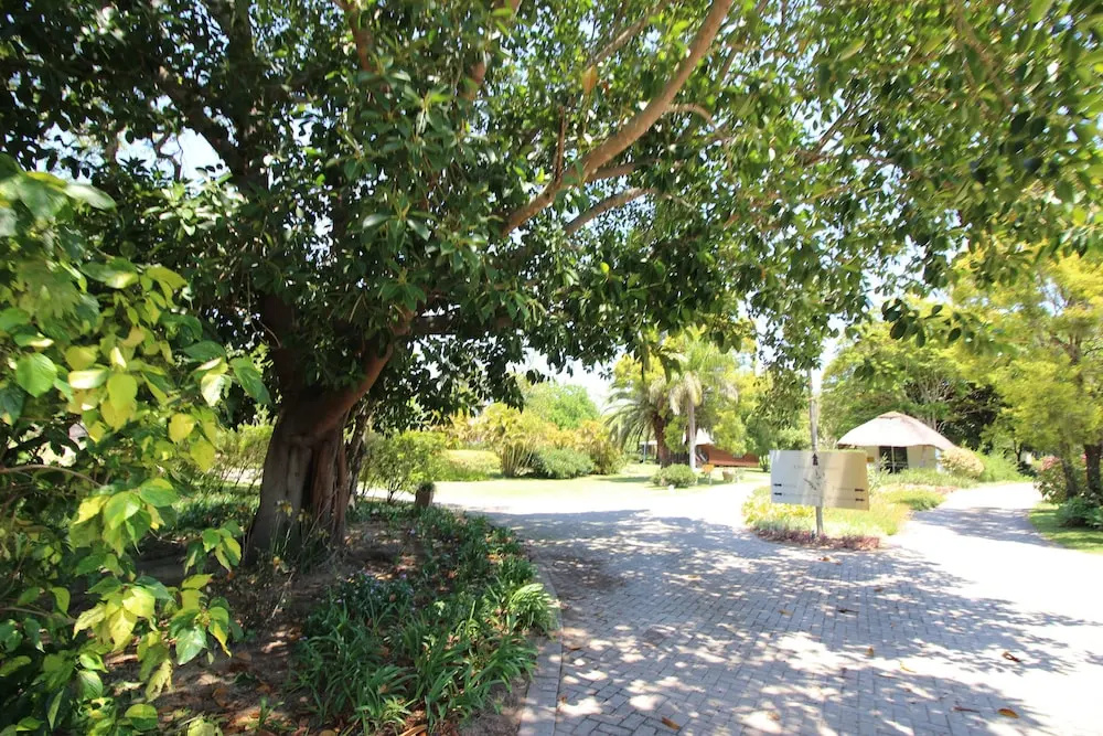 Asante Sana Holiday Village