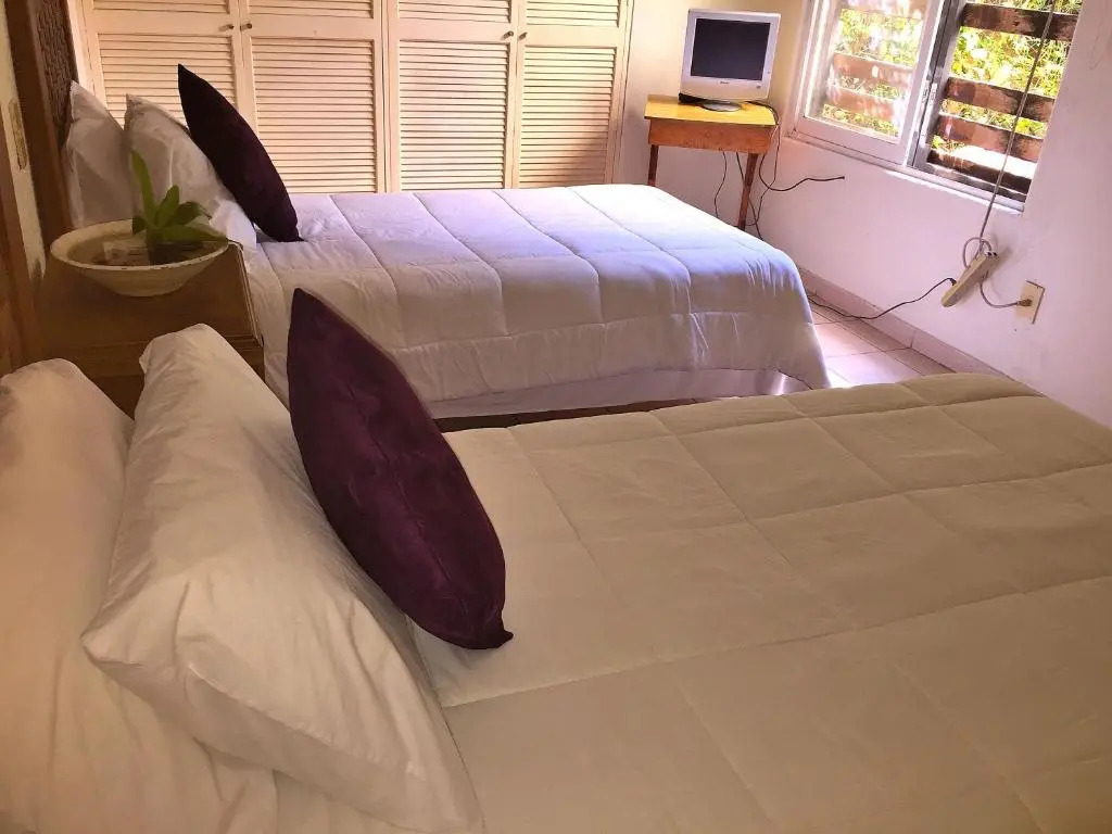 Condo Selva Alta