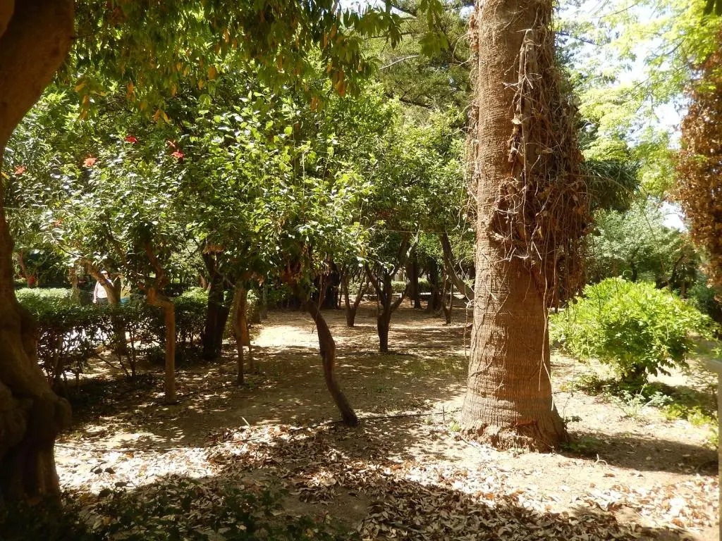 Aloe Apartments & Studios
