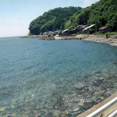 Tokaen