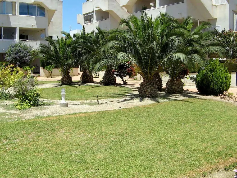 106449 - Apartment in Vera