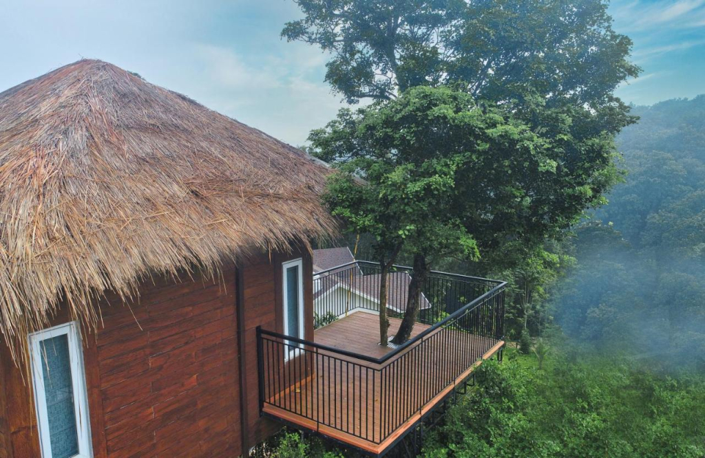 Jungle Bay Resorts & Spa