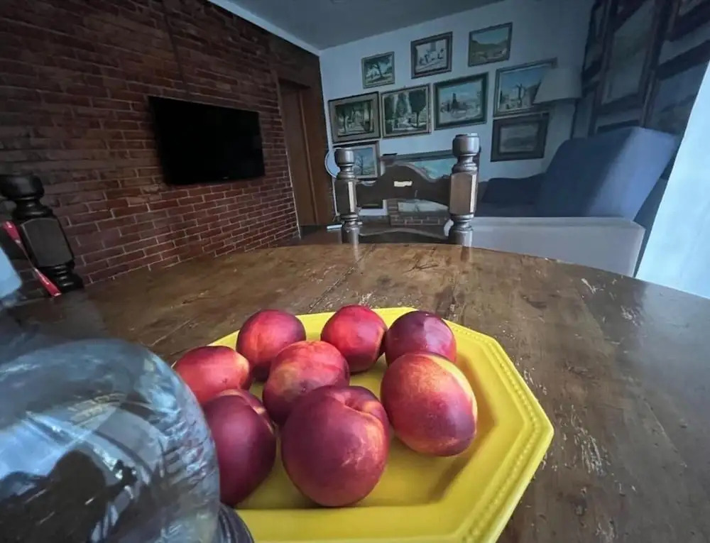 Enzo’s House