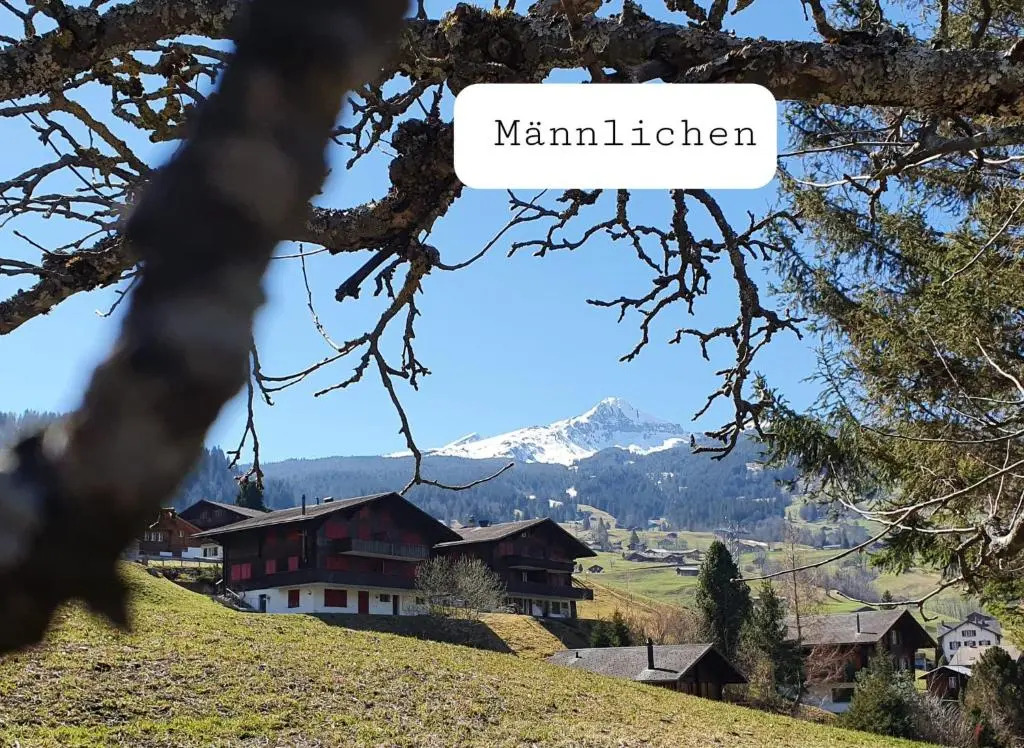 Chalet Wärgistal