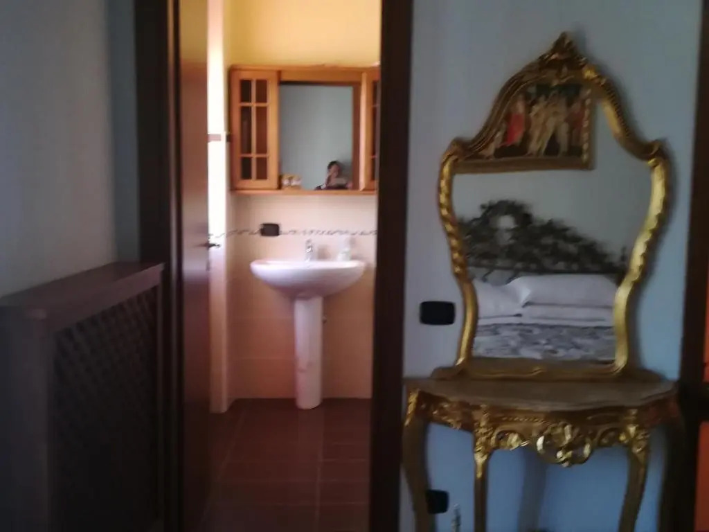 le rondini