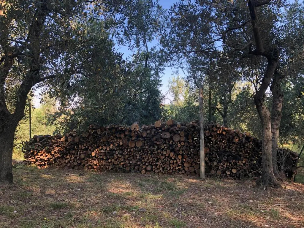 Podere Casato