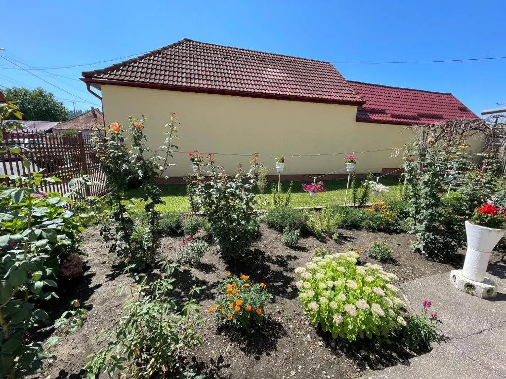 Cozy House Neustadt