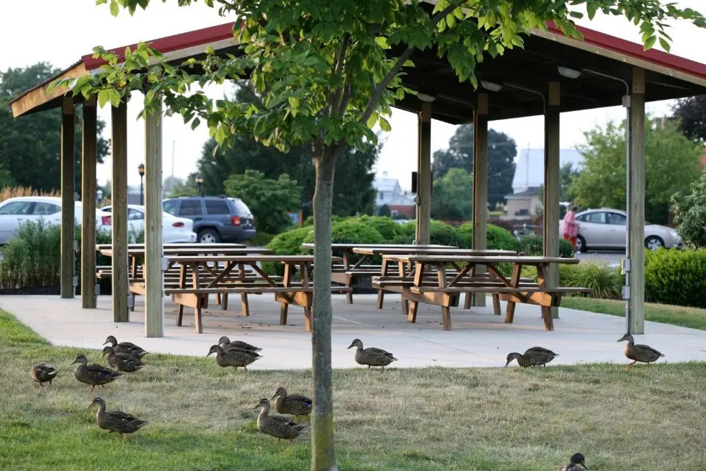 Bird-in-Hand Family Inn