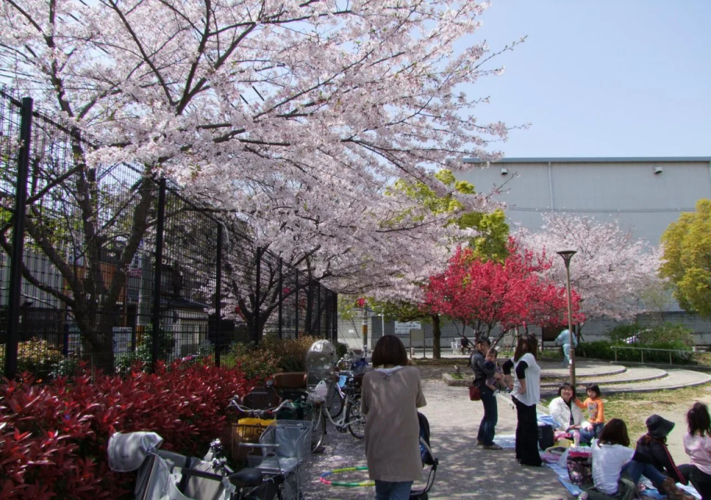 Bonsai Guest House