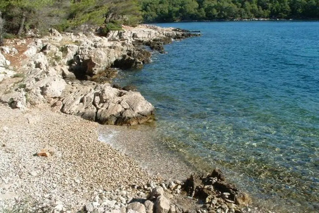 Studio Apartment Nik-50m from beach