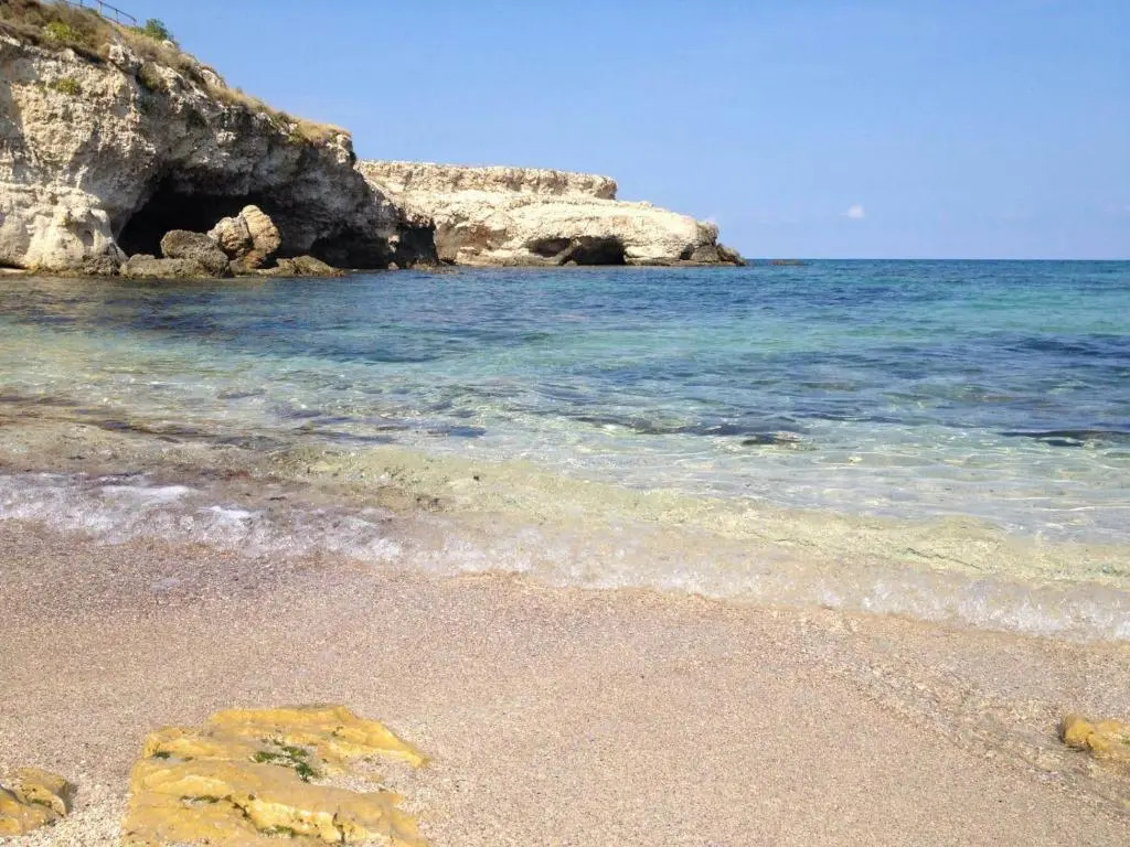 Trullammare