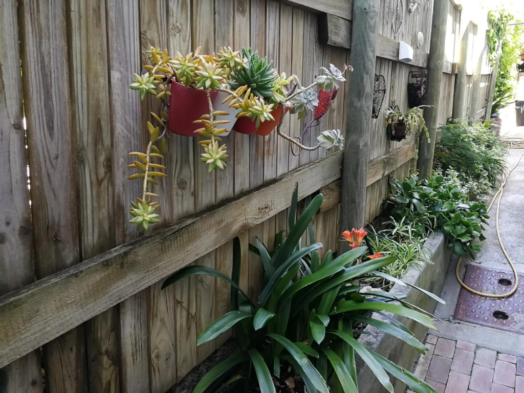 Studio Bay View