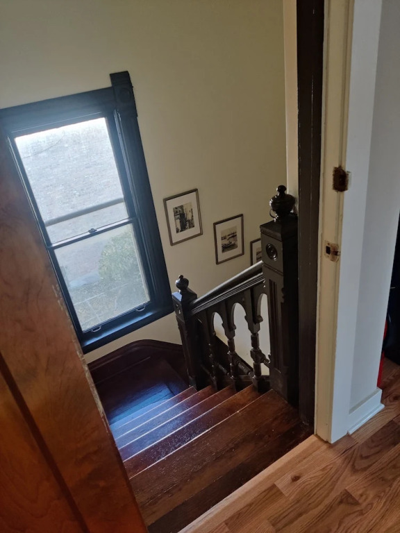 At Home in Oak Park