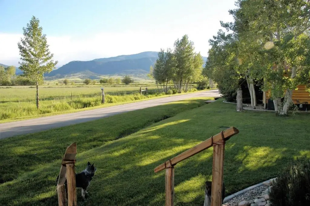 Dog Friendly Ty's Cabin by AAA Red Lodge Rentals