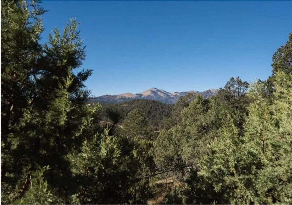 Alto Oso, 3 Bedrooms, Lush Forest View, Deck, Spa, Hot Tub, Sleeps 6
