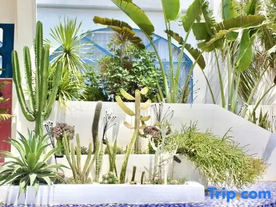 Qianxun Homestay (Riyue Bay)