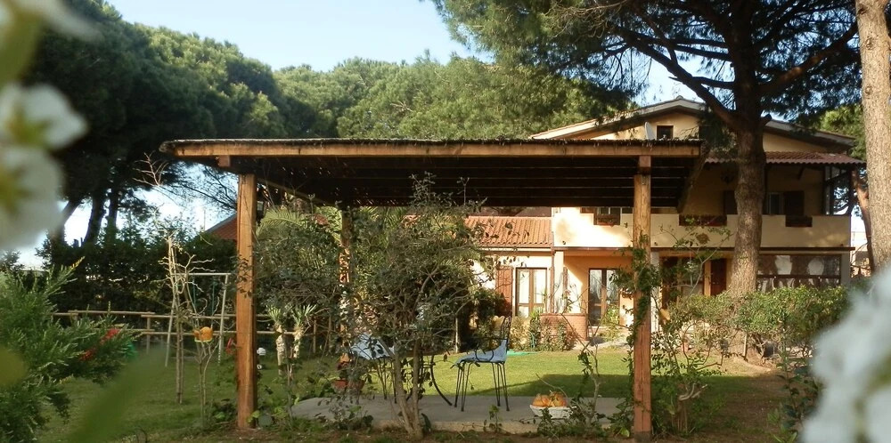 Il Picchio Verde