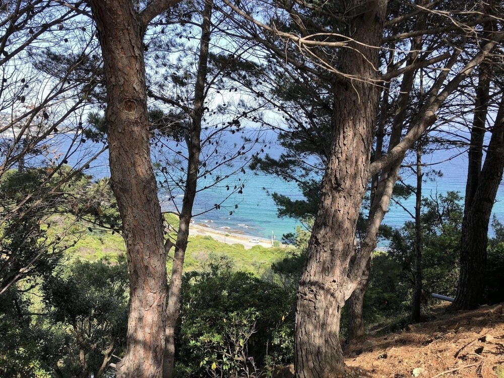 Studio SeaView
