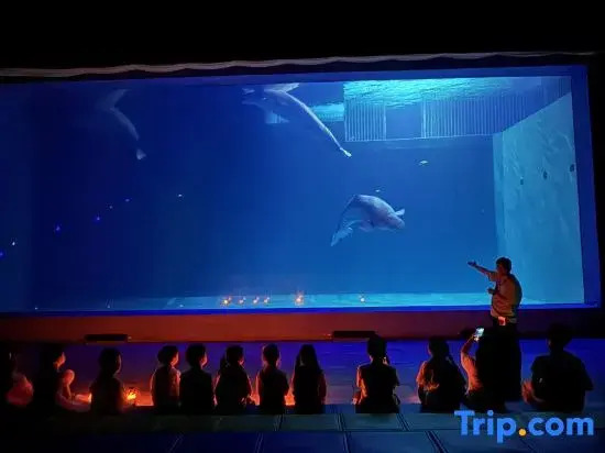 Harbin Polar Bear Hotel